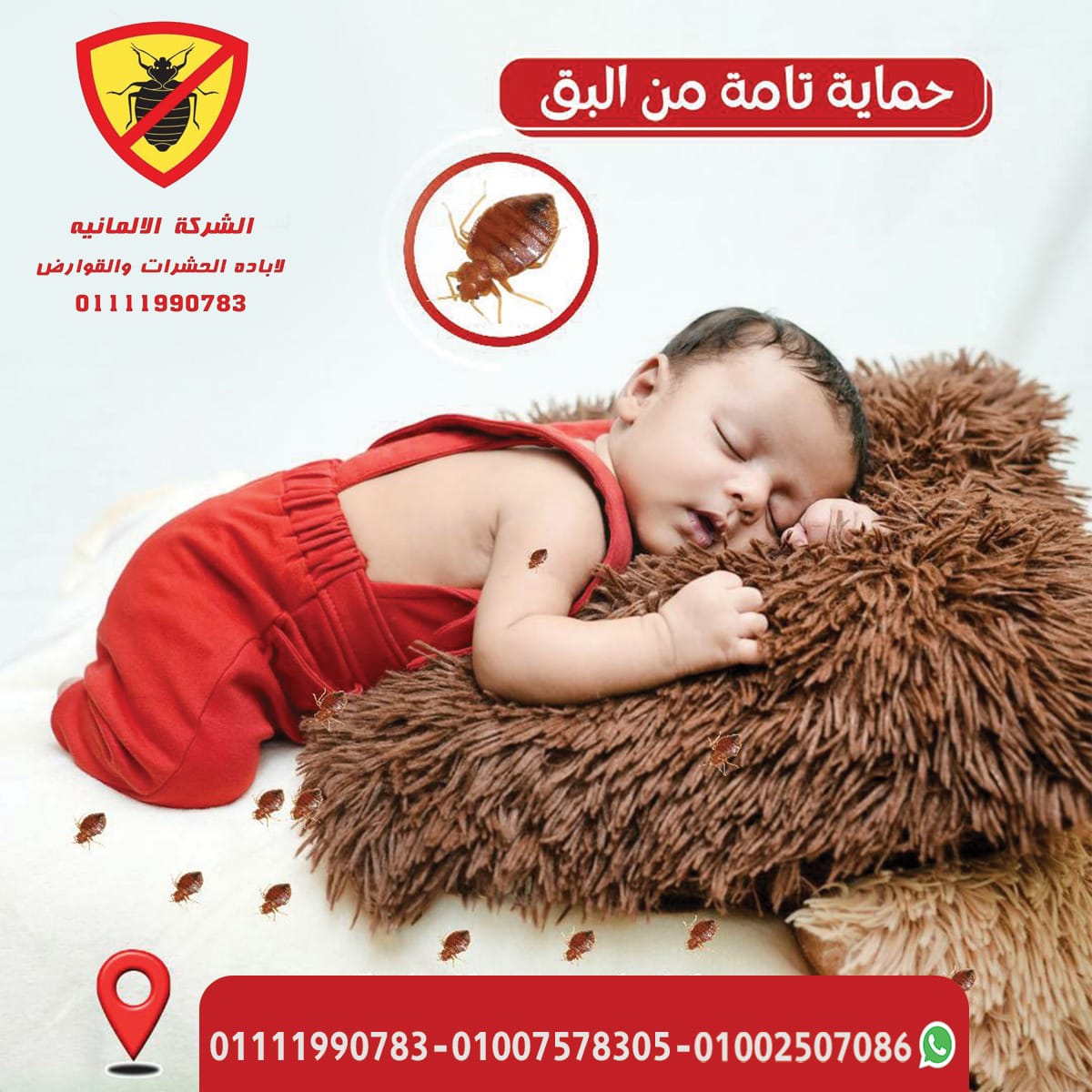 التخلص من البق