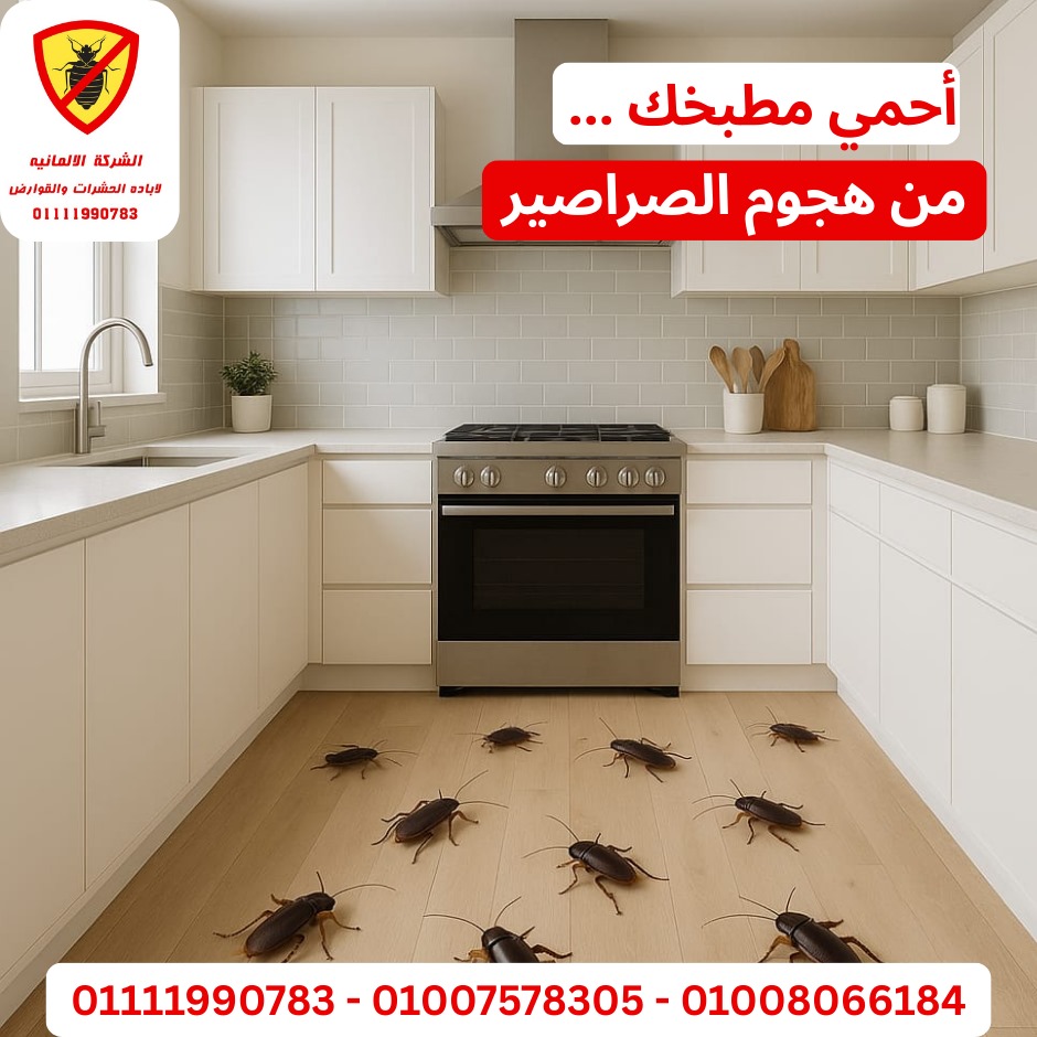 مكافحة الصراصير